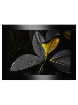 cjcfurniture75388