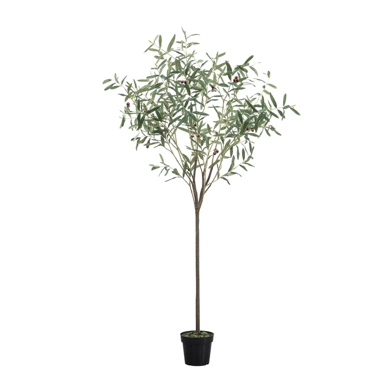 decorum-living114785