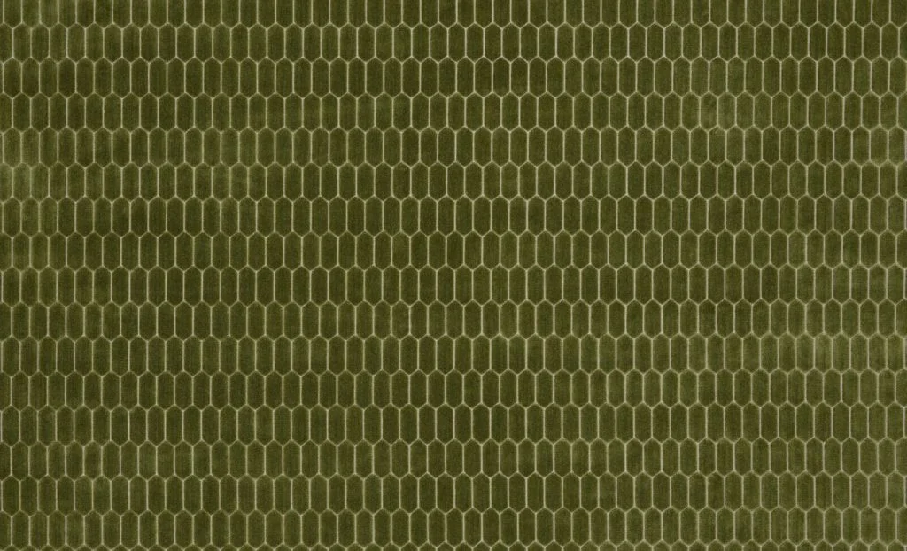thelightcompany105441