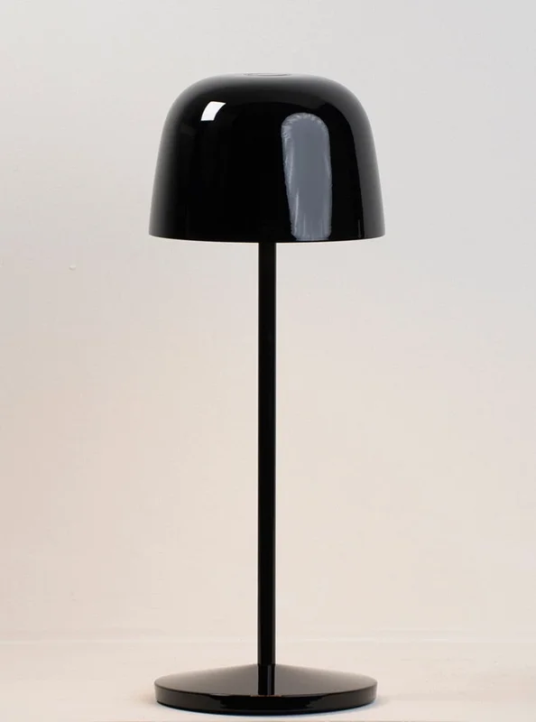 thelightcompany119906