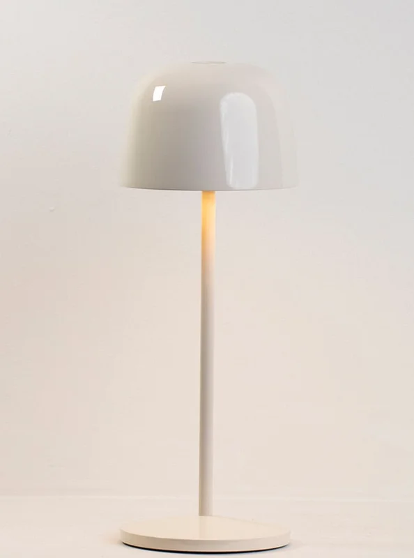 thelightcompany119914