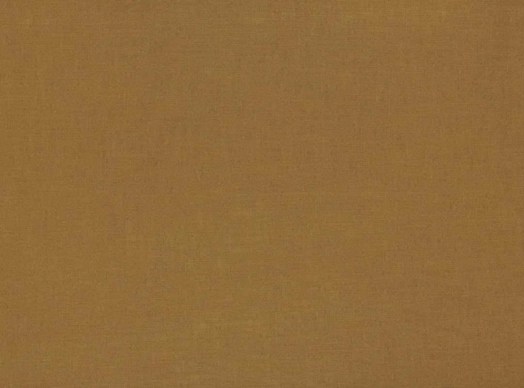 thelightcompany53922