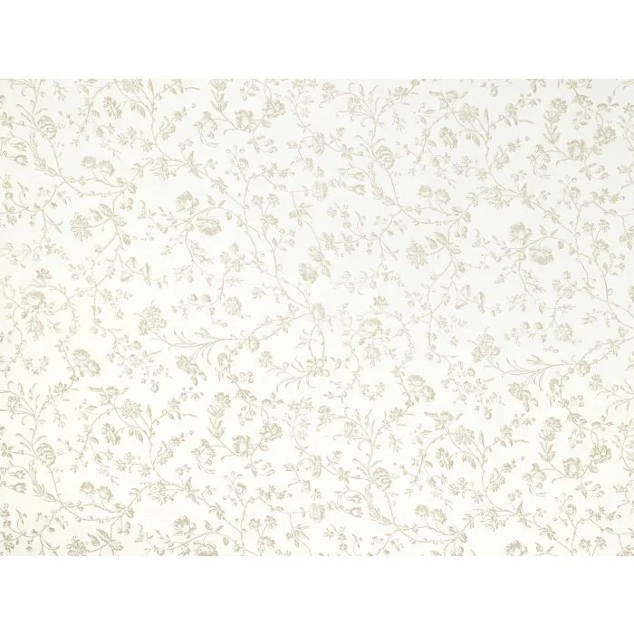 thelightcompany60305