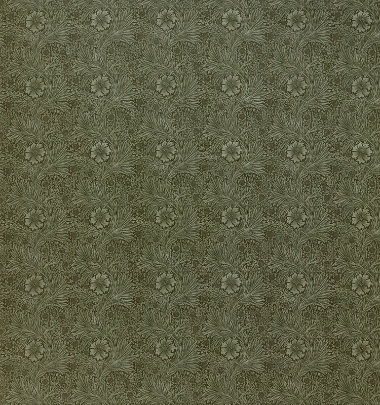 thelightcompany65596