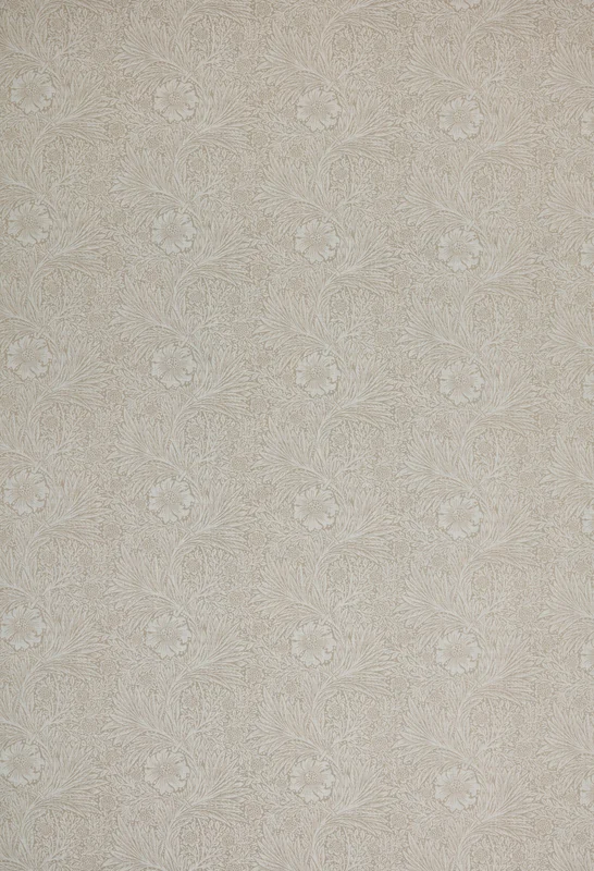 thelightcompany66715